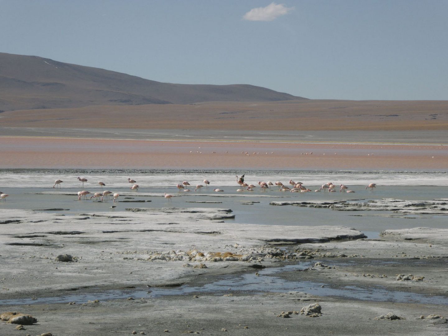 iGNANT_OnThe Road_Anke_Nunheim_Bolivia-6