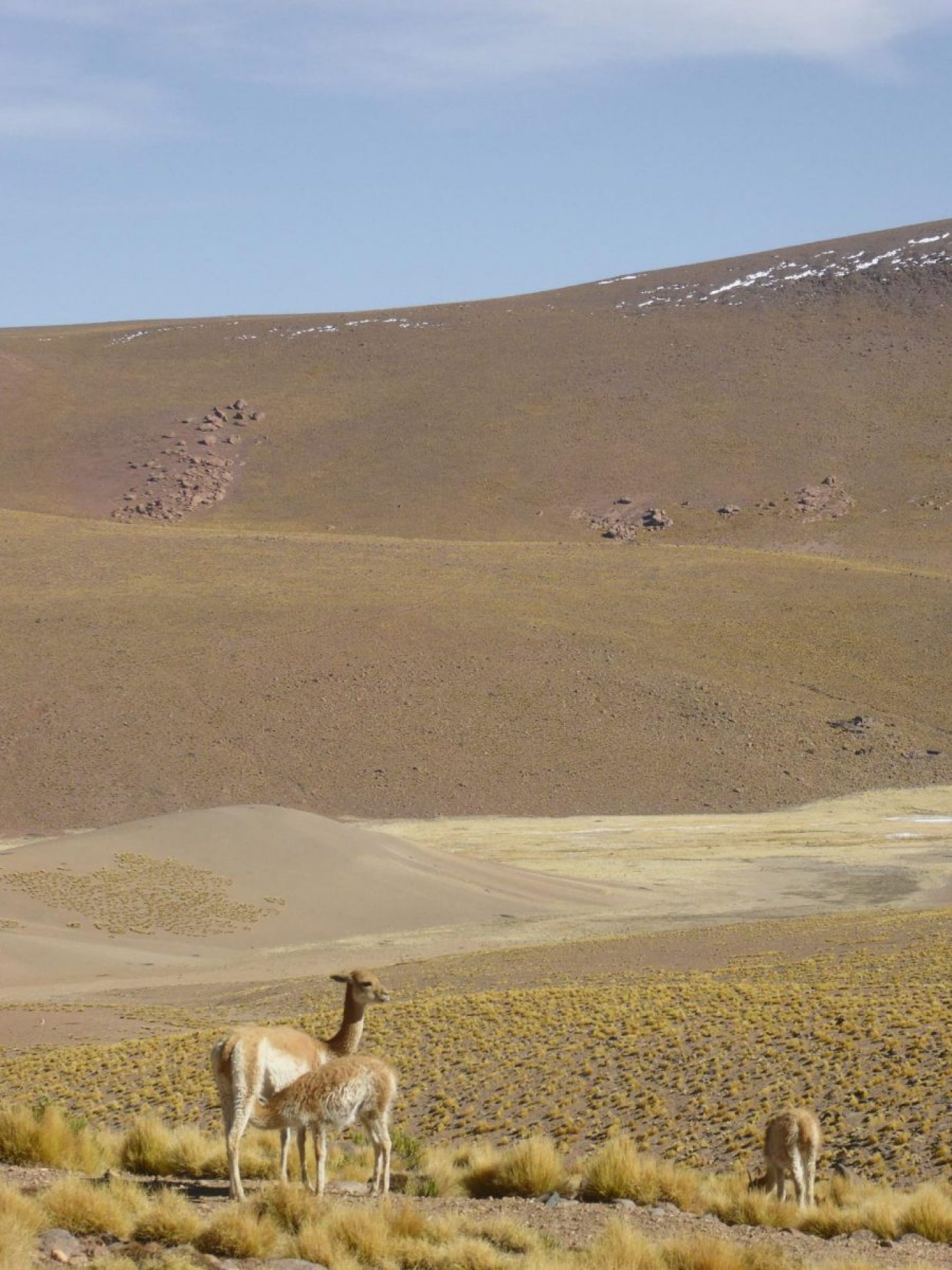iGNANT_OnThe Road_Anke_Nunheim_Bolivia