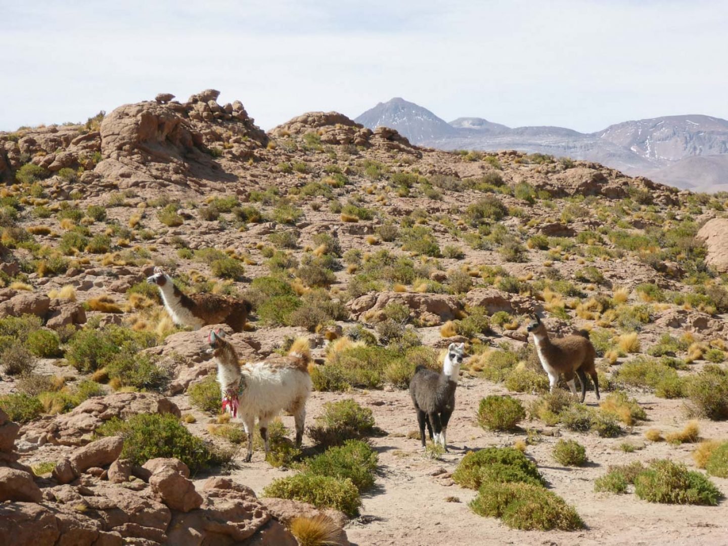 iGNANT_OnTheRoad_Anke_Nunheim_Bolivia