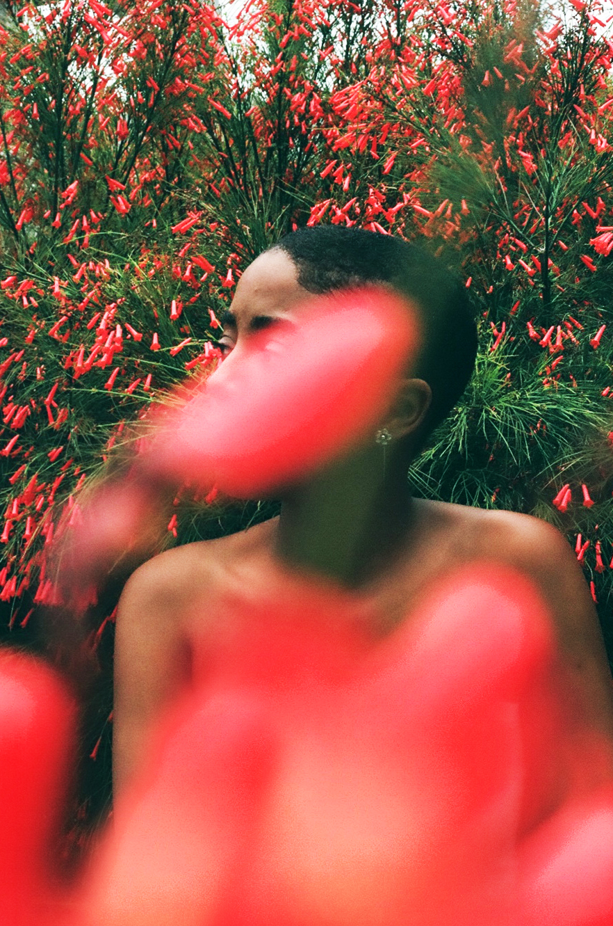 Untitled By Daniela Ruz de Esparza