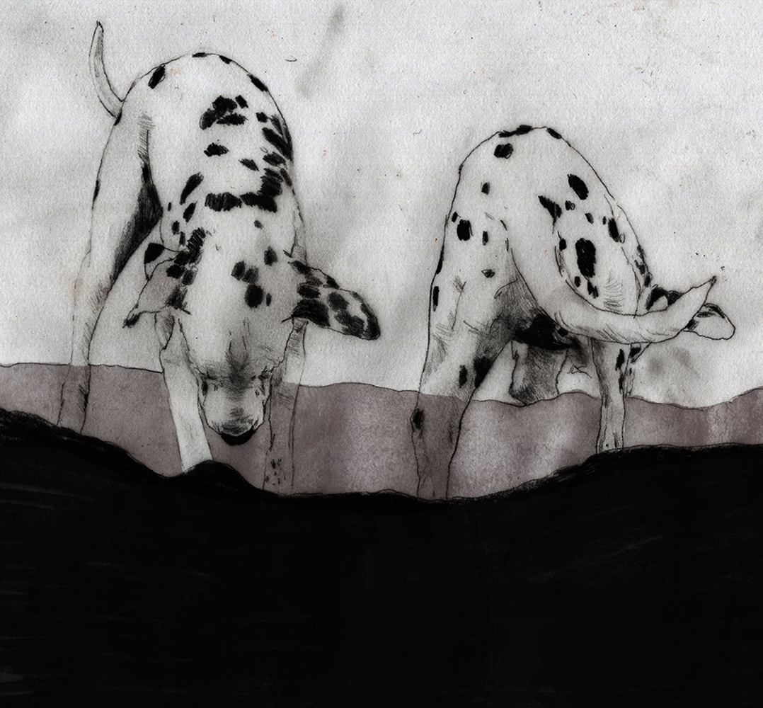 Dogs Can Bark By Anja