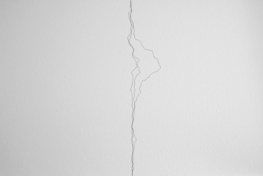 Art_InkLines2_AlbertJanzen_21