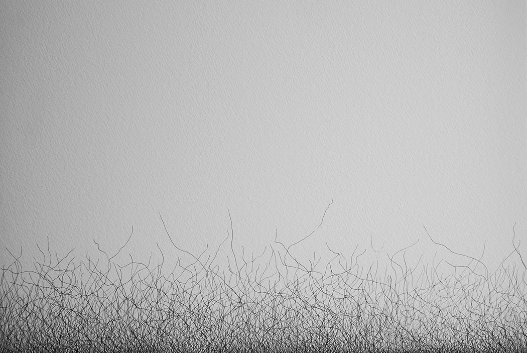 Art_InkLines2_AlbertJanzen_28