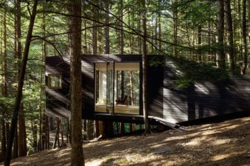 FI_Black_Cabin