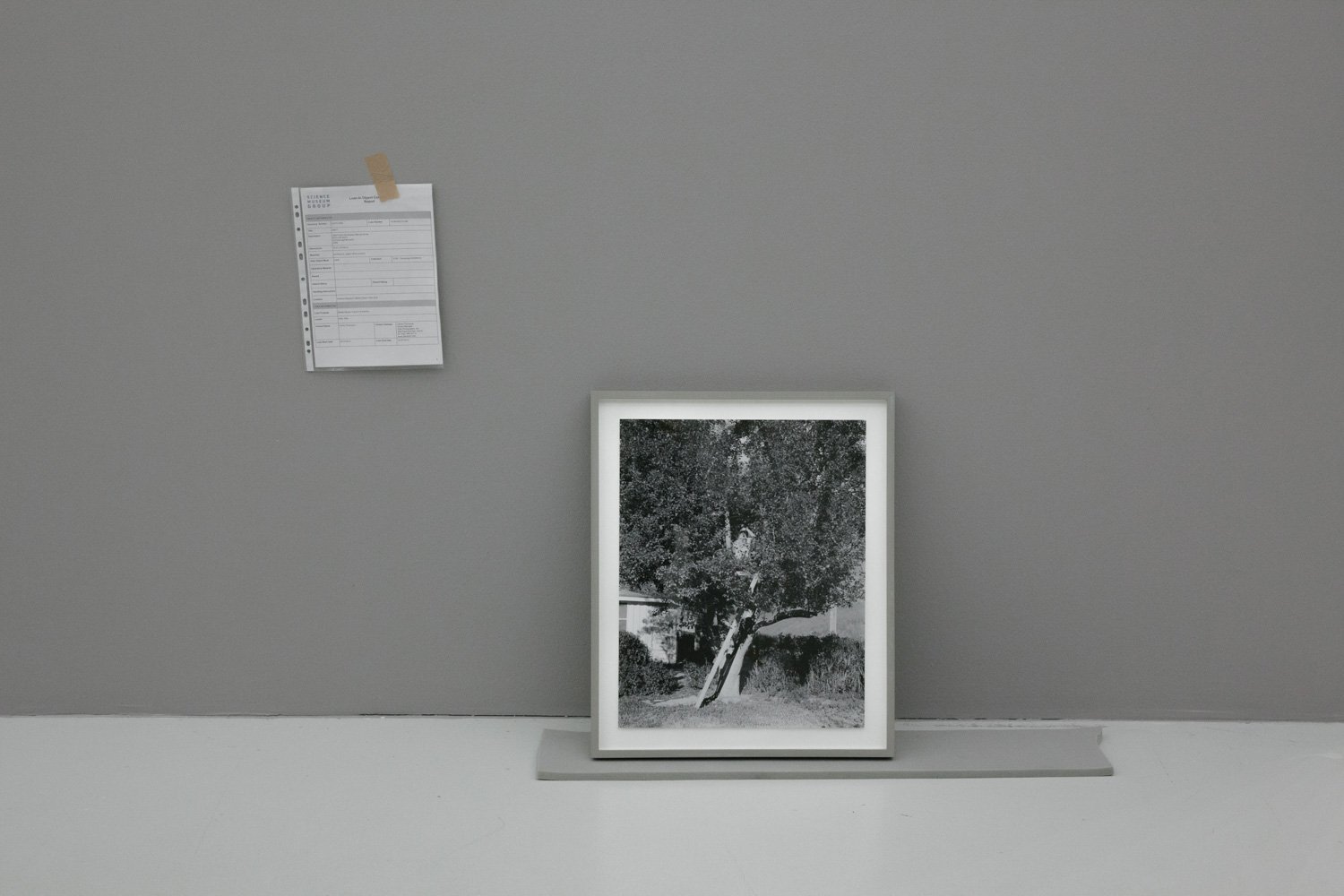 iGNANT_Deichtorhallen_Alec_Soth-25