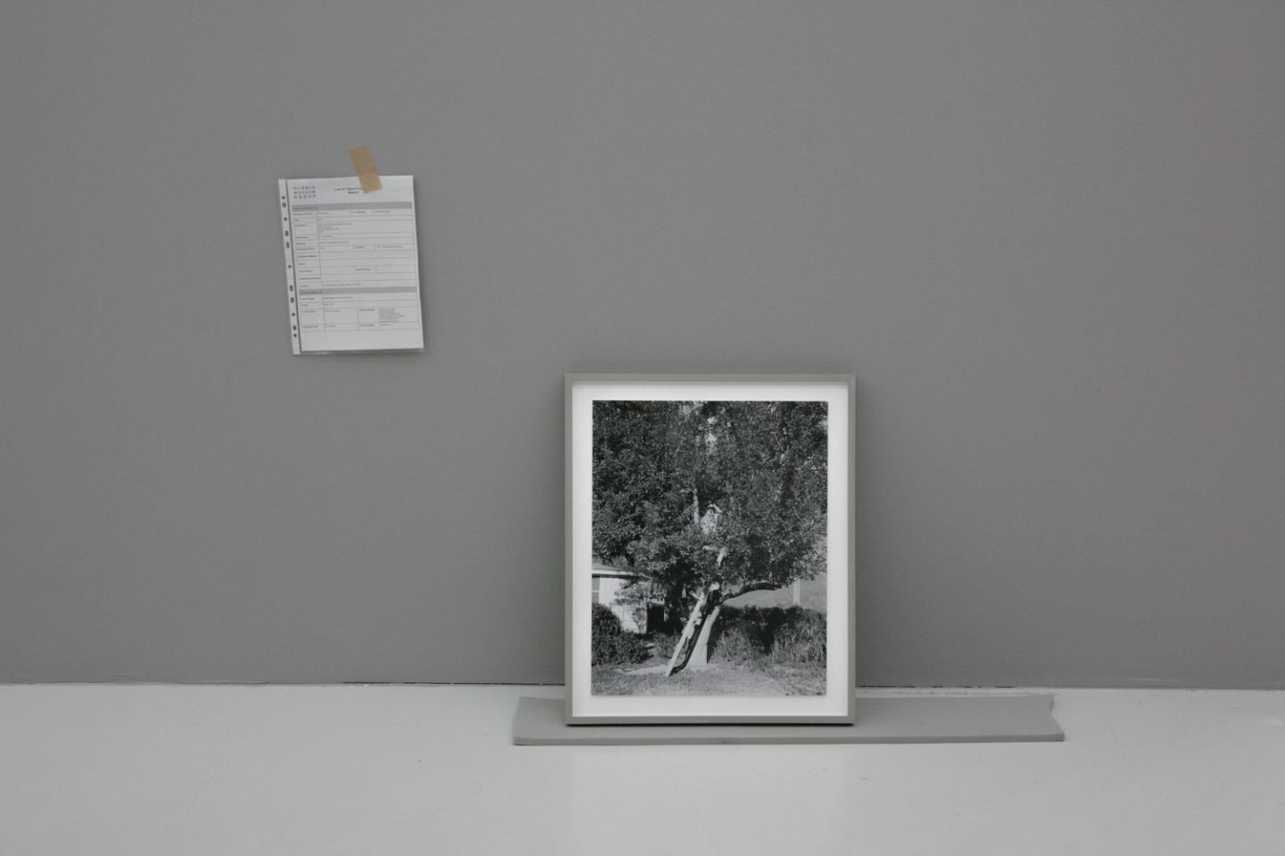 iGNANT_Deichtorhallen_Alec_Soth-25