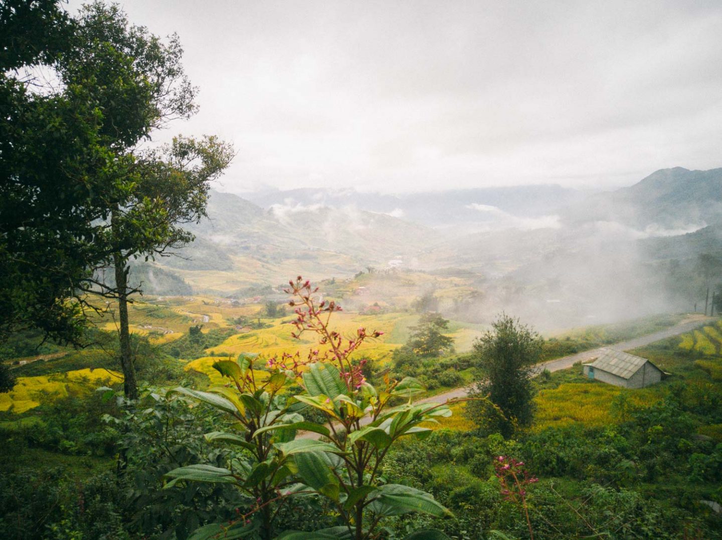 iGNANT_Huawei_24Hours_Vietnam-22