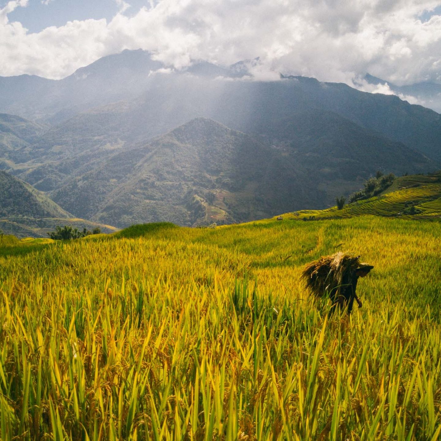 iGNANT_Huawei_24Hours_Vietnam-25