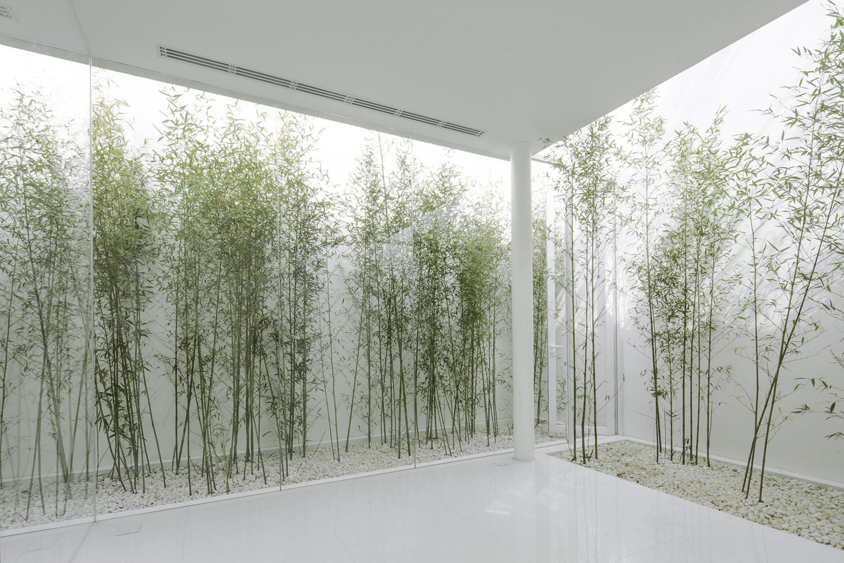 Image of White bamboo garden box