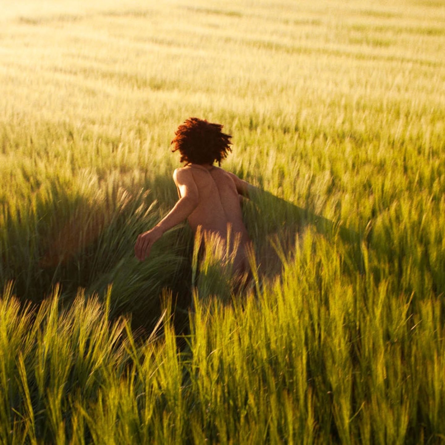 Header-RyanMcGinley-WeTransfer