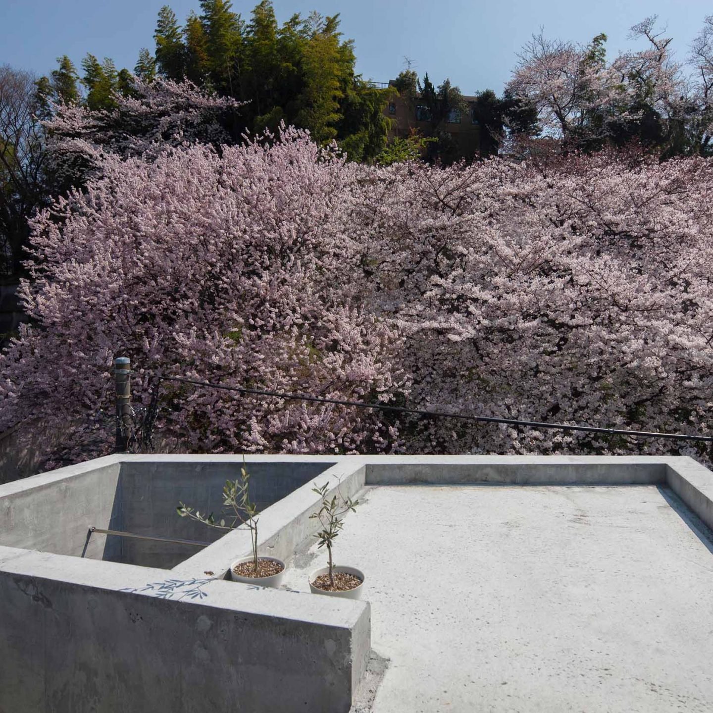 iGNANT-Architecture-Shinsuke-Fuji-Architects-Oriel-Window-house-Office-009