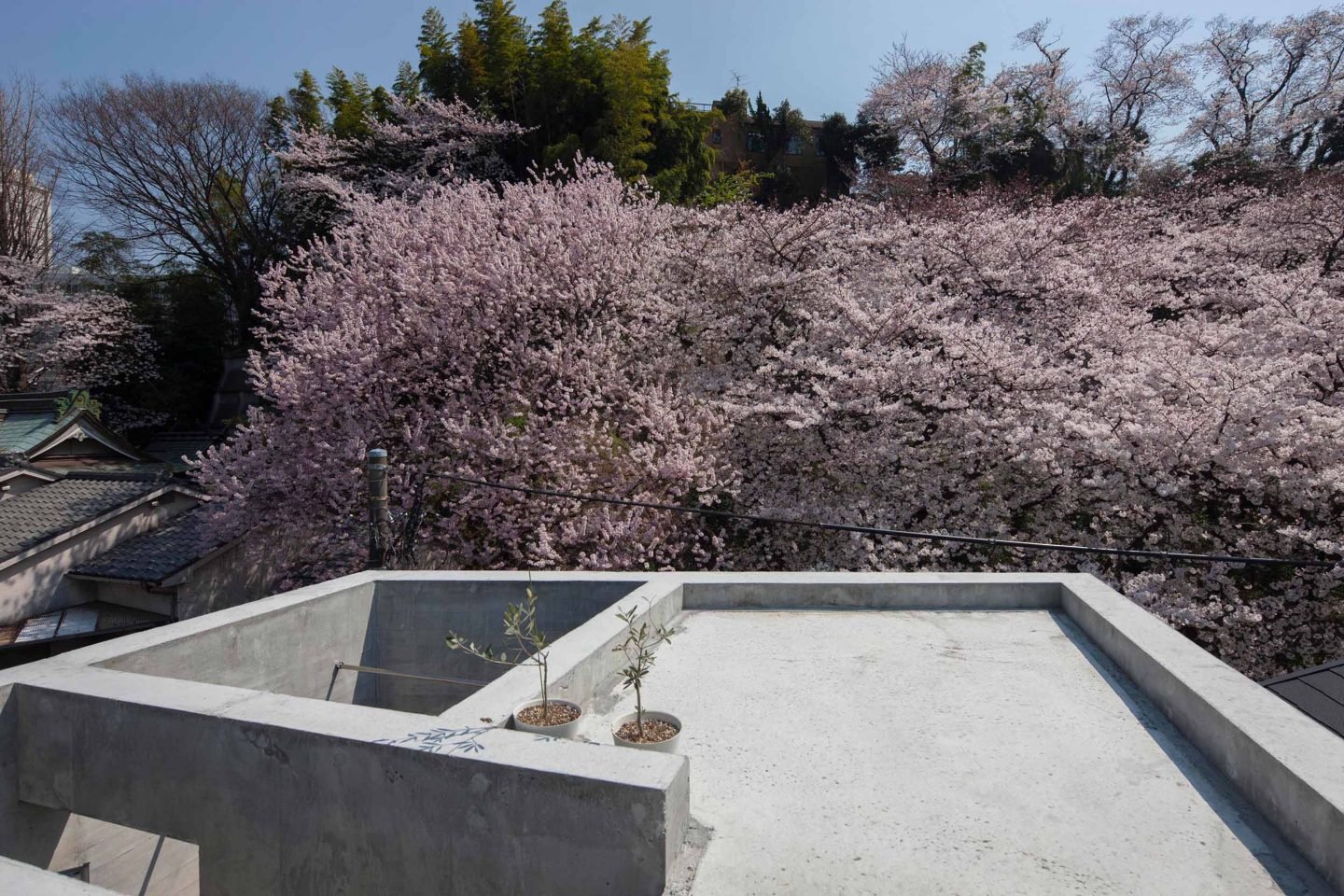 iGNANT-Architecture-Shinsuke-Fuji-Architects-Oriel-Window-house-Office-009