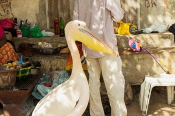 iGNANT-Photography-Jussi-Puikkonen-Senegal-09