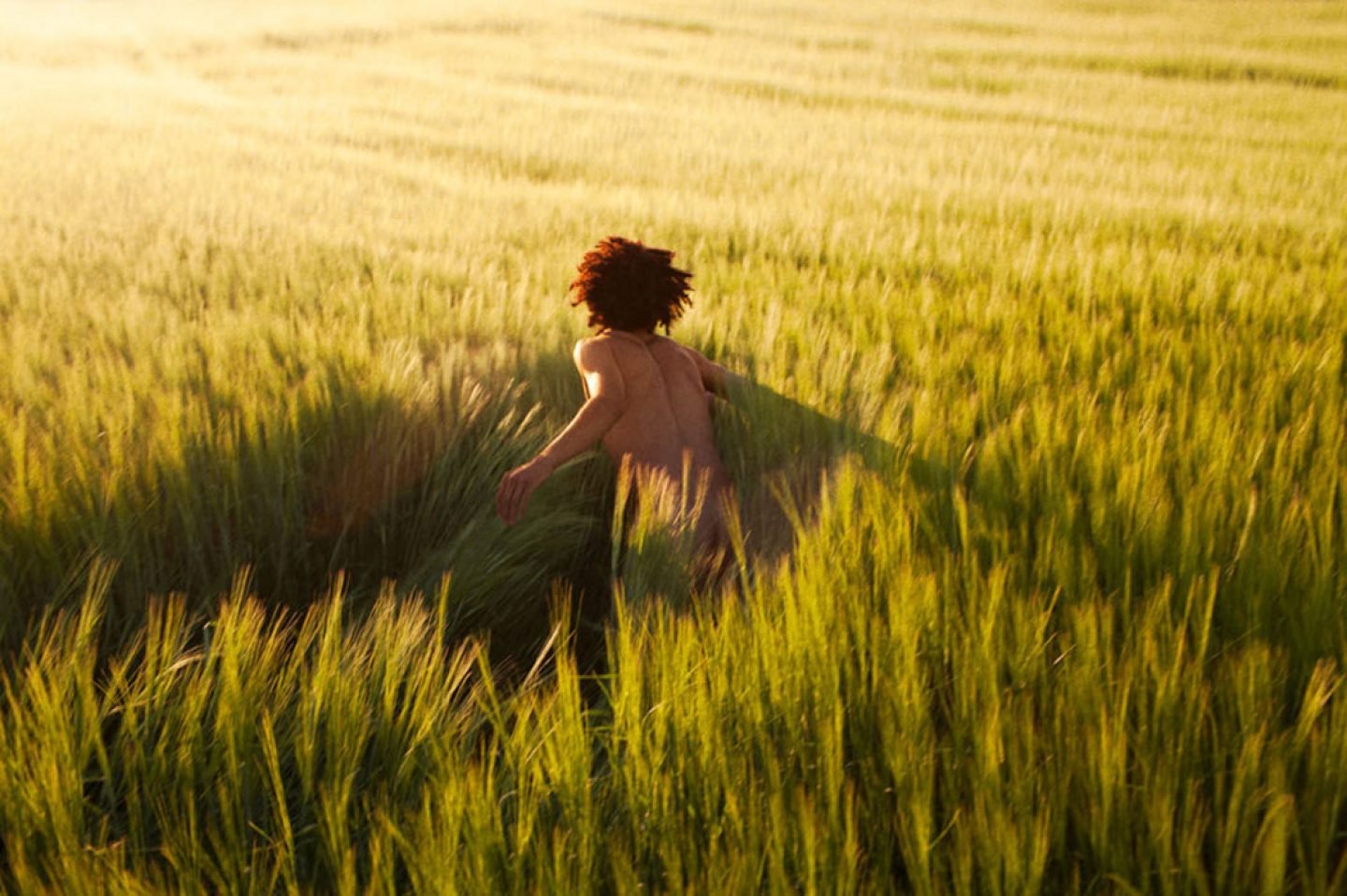 Photography-RyanMcGinley-WeTransfer-01