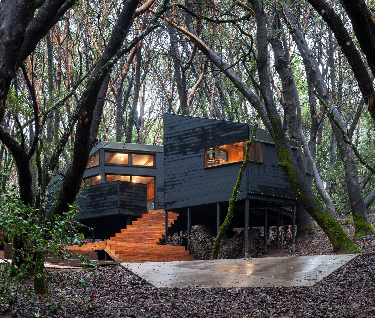 The Forest  House  In Northern California IGNANT