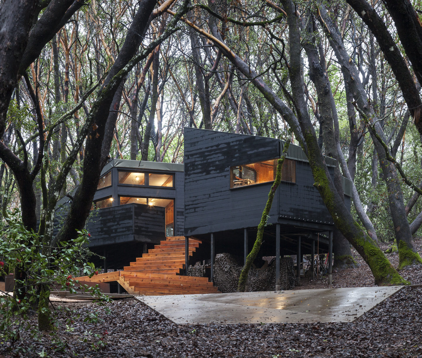 The Forest  House  In Northern California IGNANT