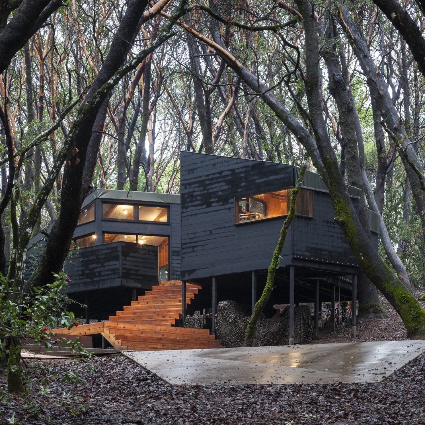 iGNANT-Architecture-Envelope-Architecture-&-Design-Forest-House-04