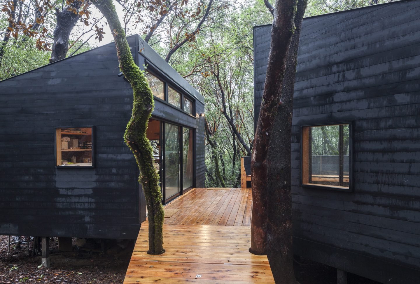 iGNANT-Architecture-Envelope-Architecture-&-Design-Forest-House-05