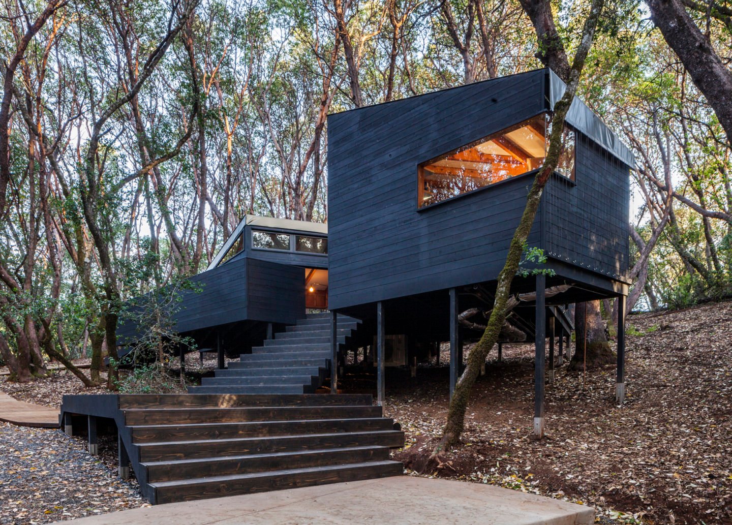 iGNANT-Architecture-Envelope-Architecture-&-Design-Forest-House-18