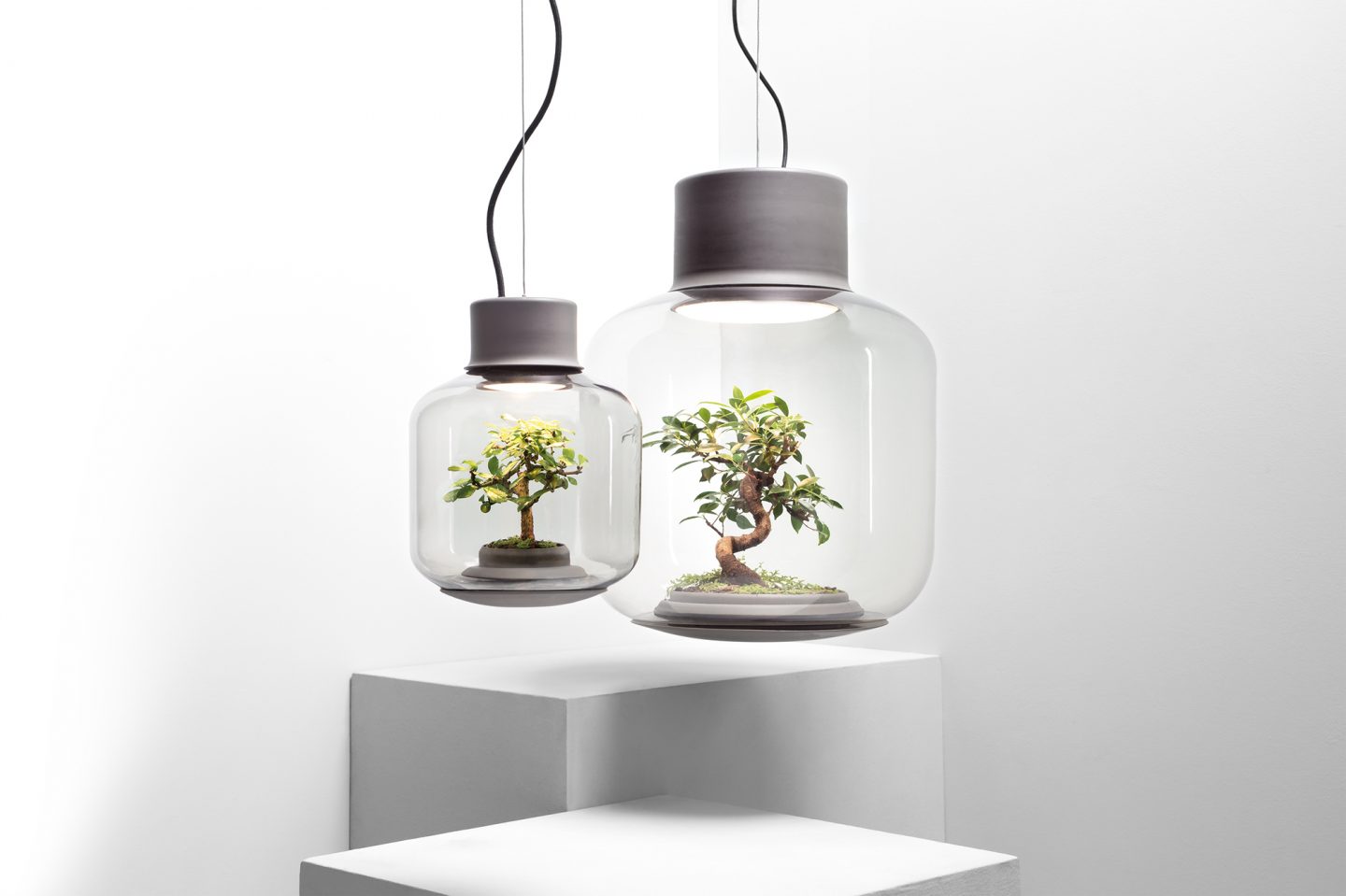 ignant-mygdal-plantlight-2