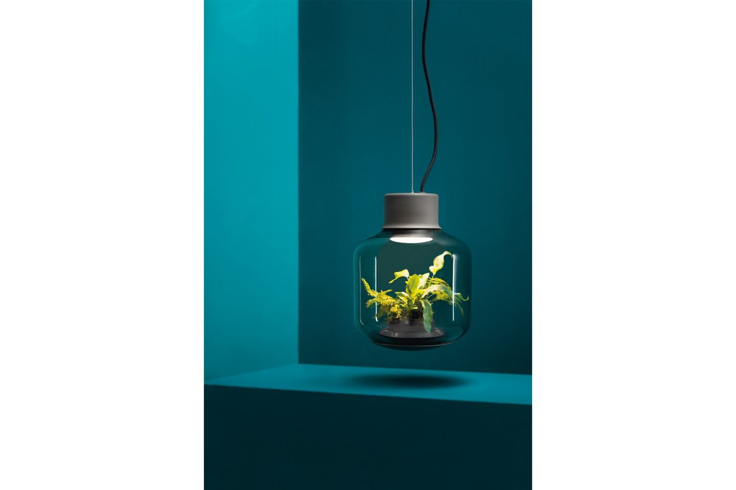 ignant-mygdal-plantlight-4