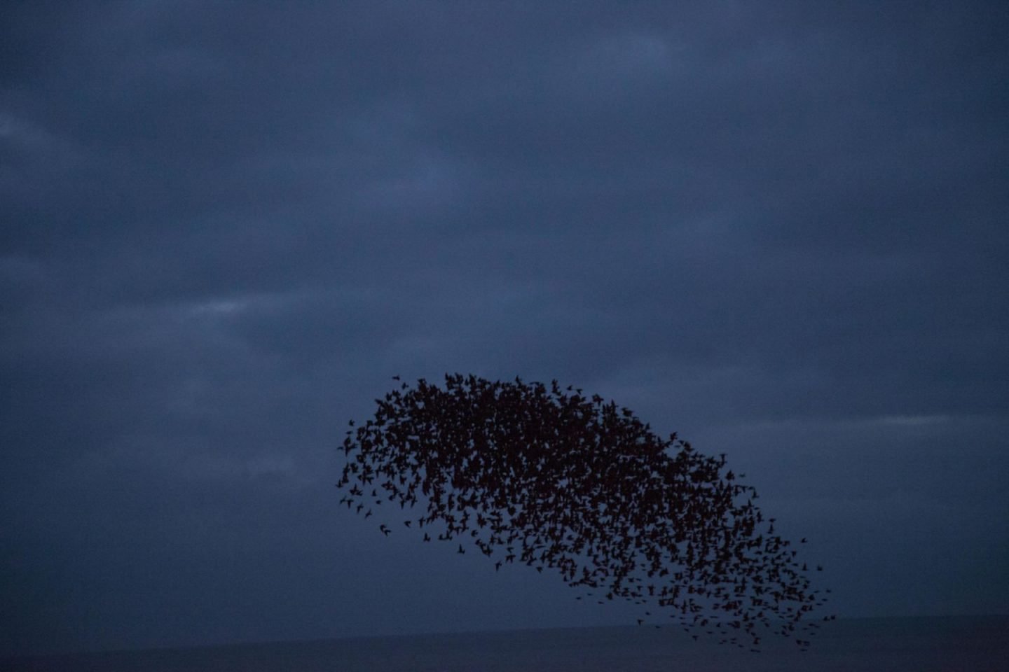 iGNANT-Photograophy-Rinko-Kawauchi-02