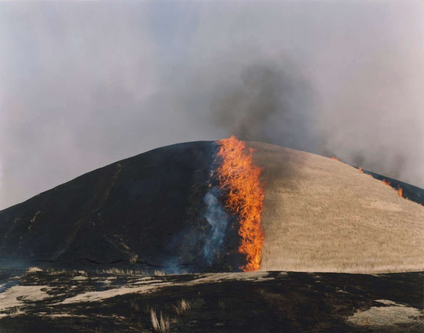 iGNANT-Photograophy-Rinko-Kawauchi-10