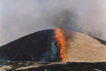 iGNANT-Photograophy-Rinko-Kawauchi-10