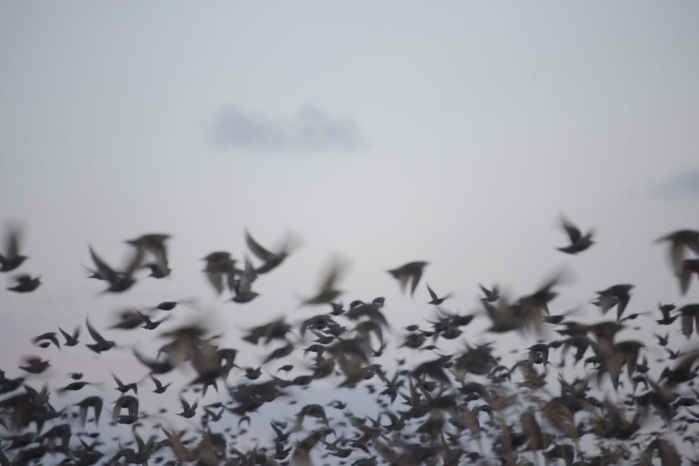 iGNANT-Photograophy-Rinko-Kawauchi-15