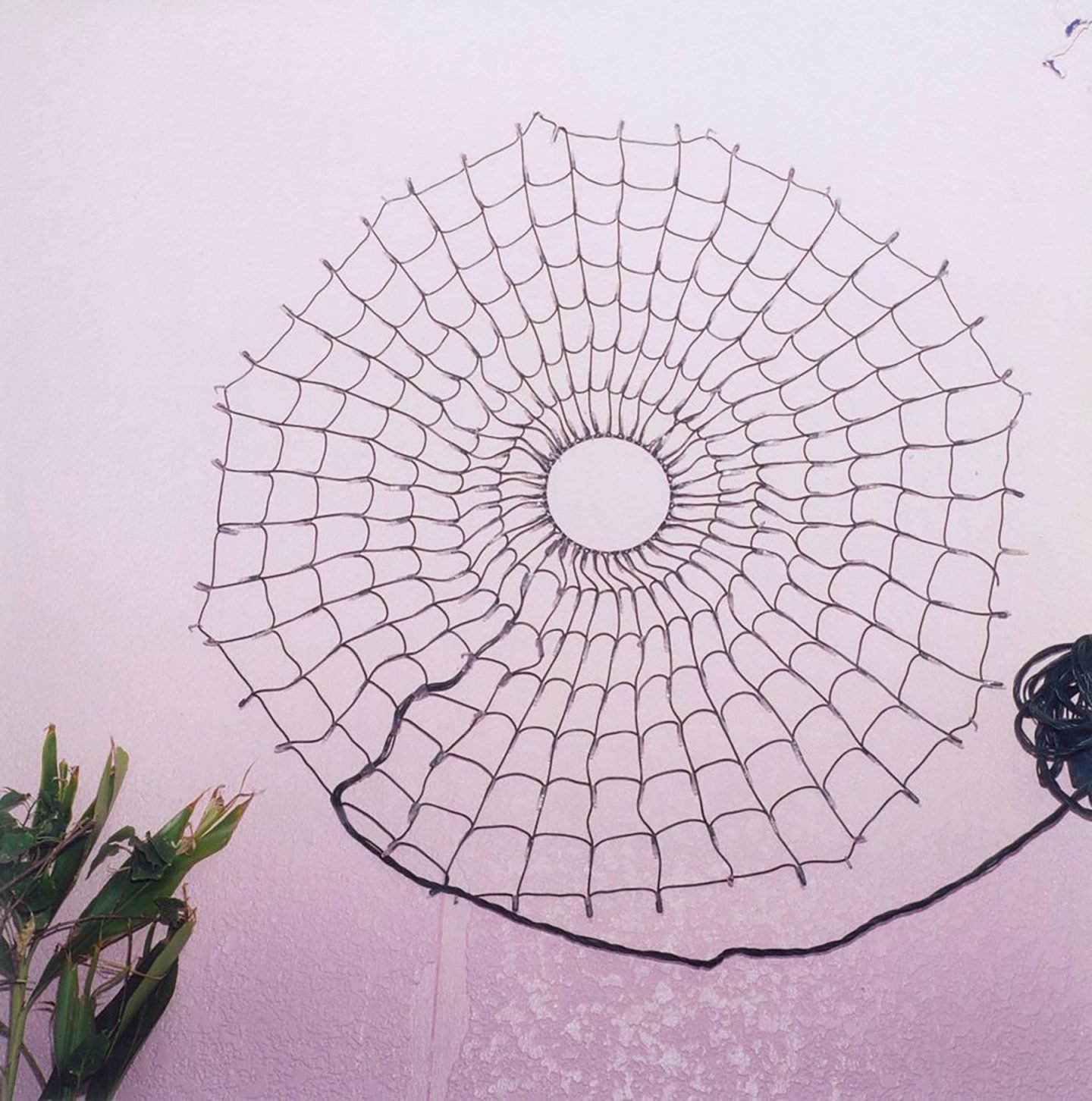 iGNANT-Photograophy-Rinko-Kawauchi-16