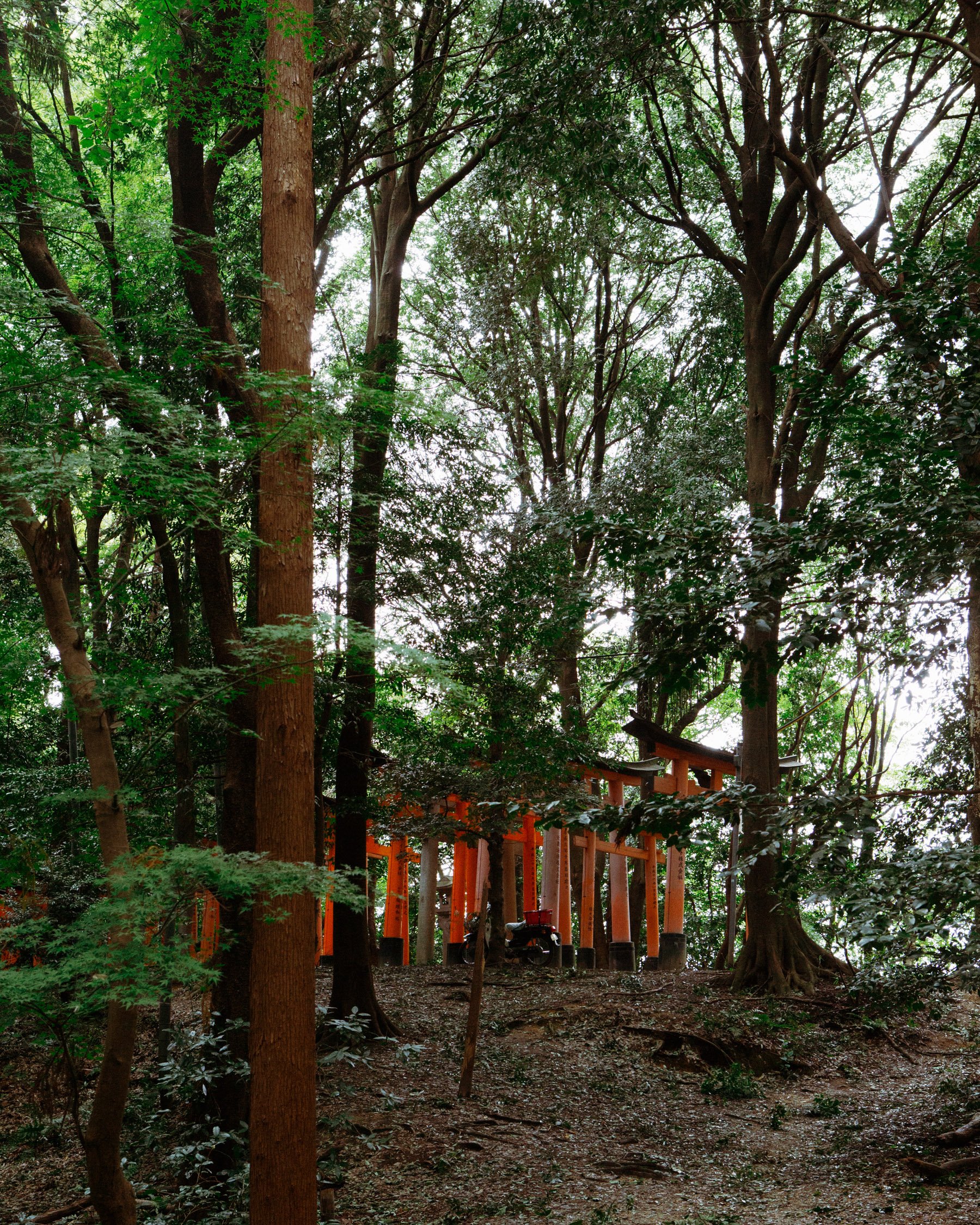 iGNANT-Photography-Will-Matsuda-Kyoto-003