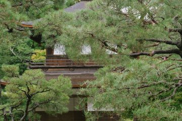 iGNANT-Photography-Will-Matsuda-Kyoto-023