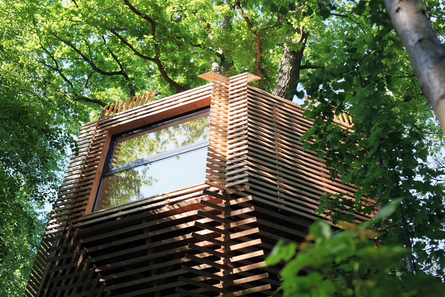 iGNANT-Architecture-Atelier-Lavit-Origin-Tree-House-012