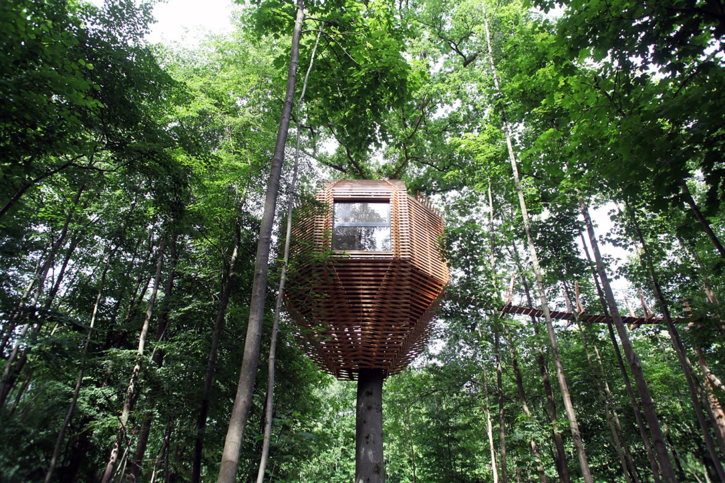 iGNANT-Architecture-Atelier-Lavit-Origin-Tree-House-013