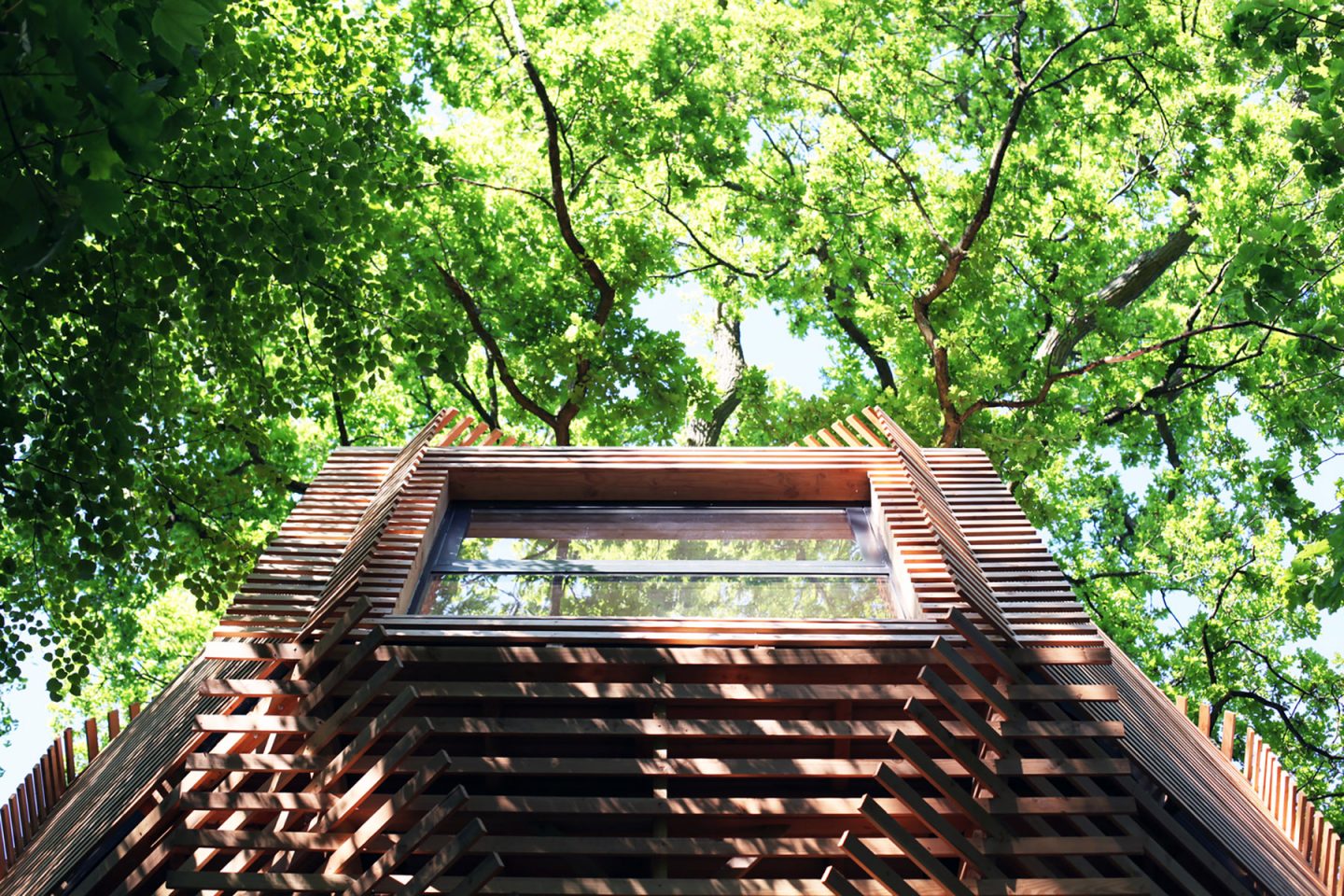 iGNANT-Architecture-Atelier-Lavit-Origin-Tree-House-015