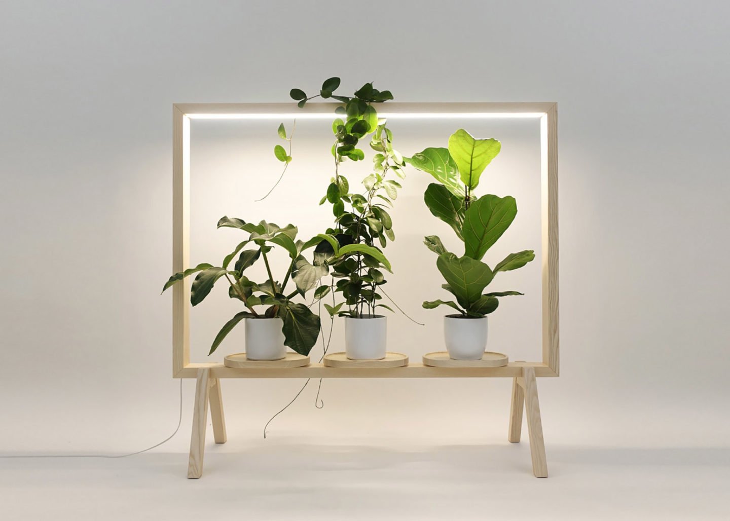 iGNANT-Design-Kauppi-Kauppi-GreenFrame-001