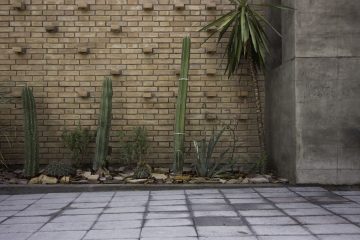 iGNANT-Architecture-Ariel-Valenzuela And-Diego-Ledesma -Casa-Papagayo-E