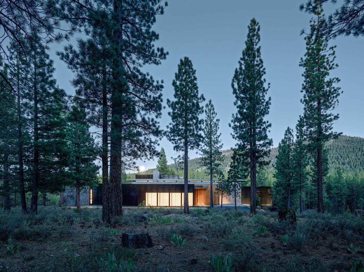 iGNANT-Architecture-Faulkner-Architects-Creek-House-19