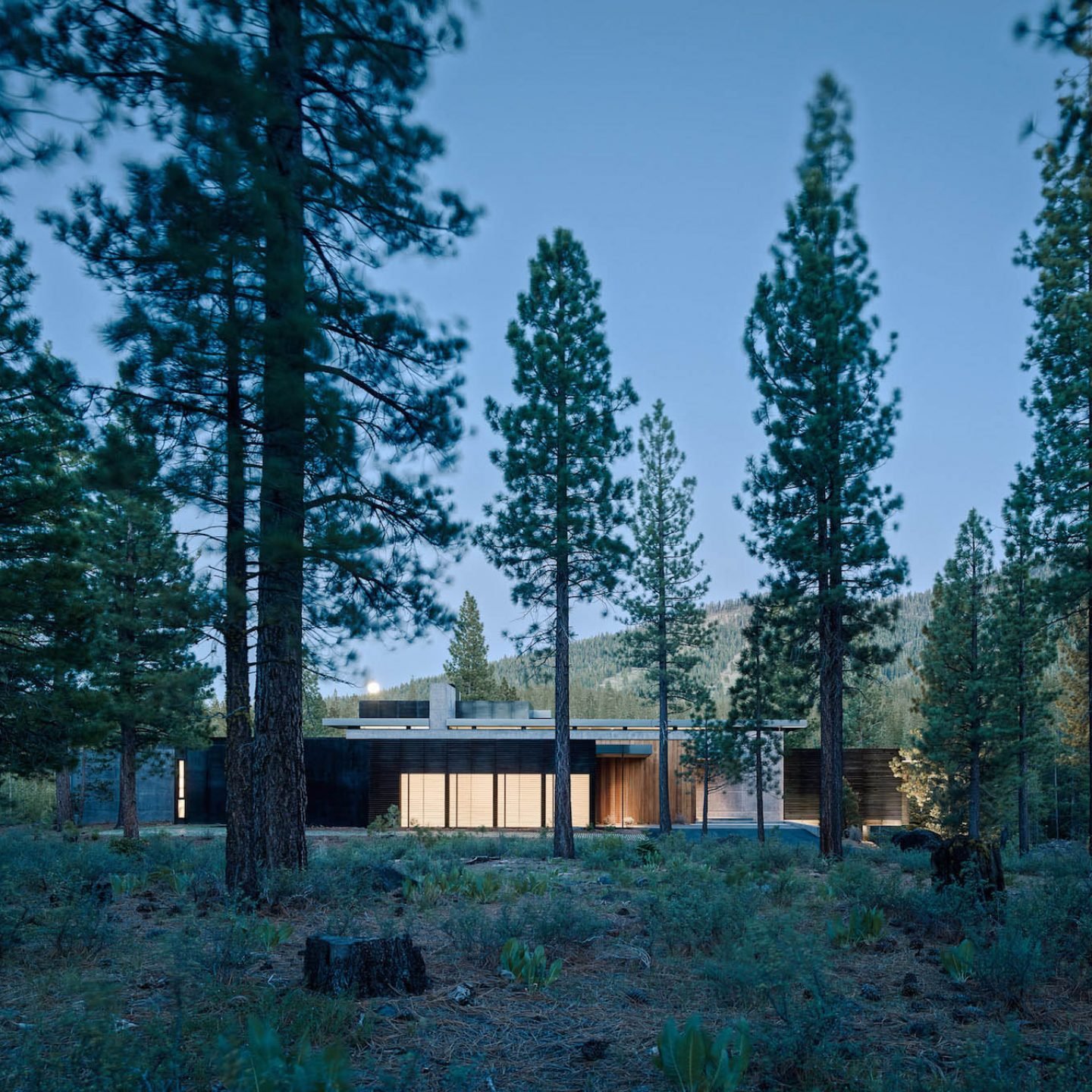 iGNANT-Architecture-Faulkner-Architects-Creek-House-20