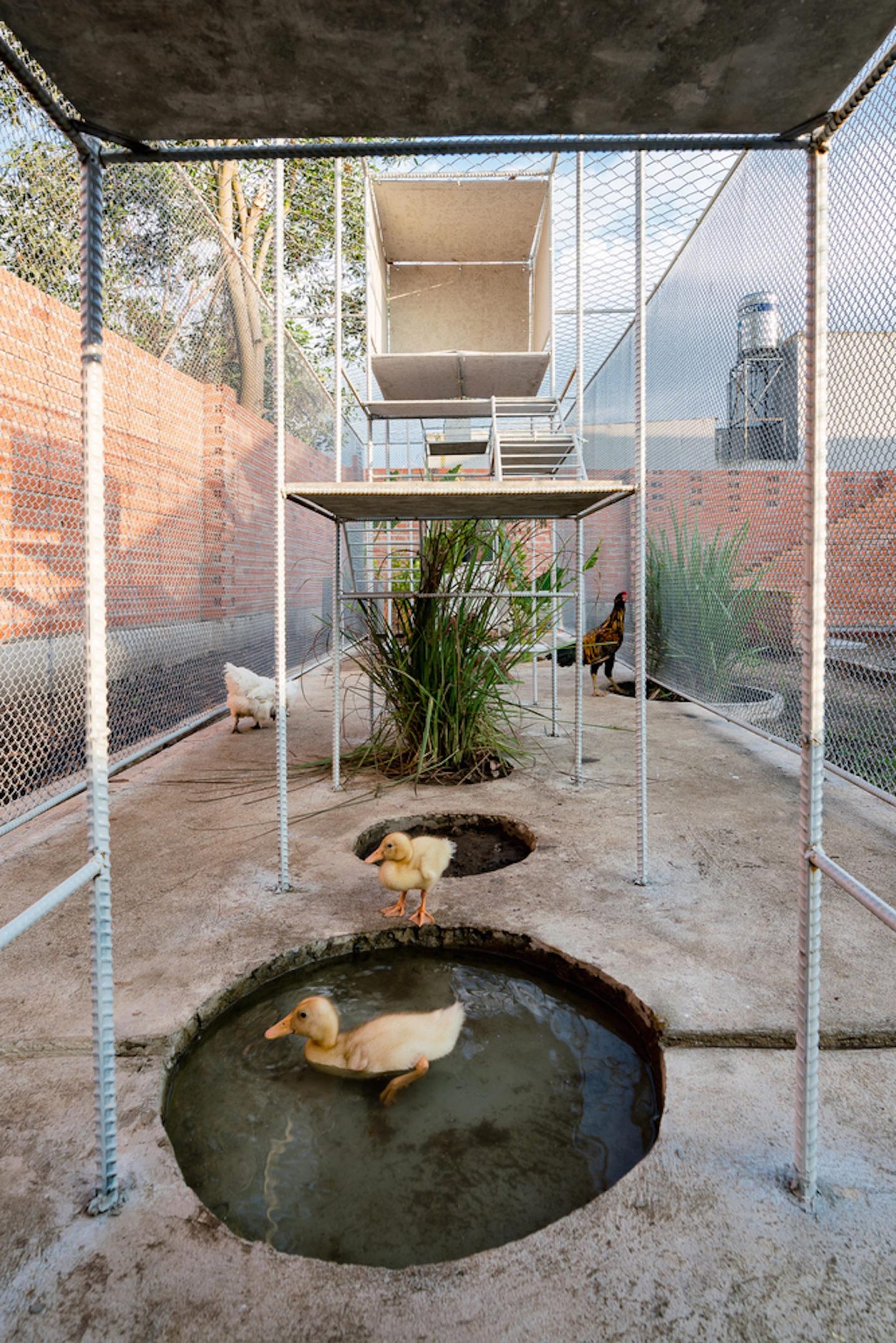 iGNANT-Architecture-Tropical-Space-Chicken-House-45