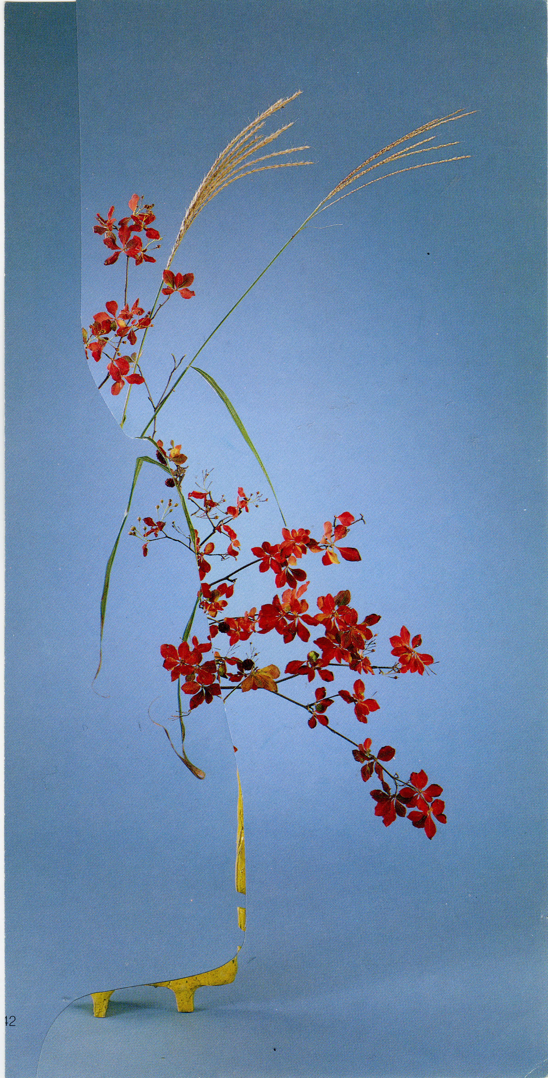 Nicola Kloosterman Reimagines Traditional Ikebana - IGNANT