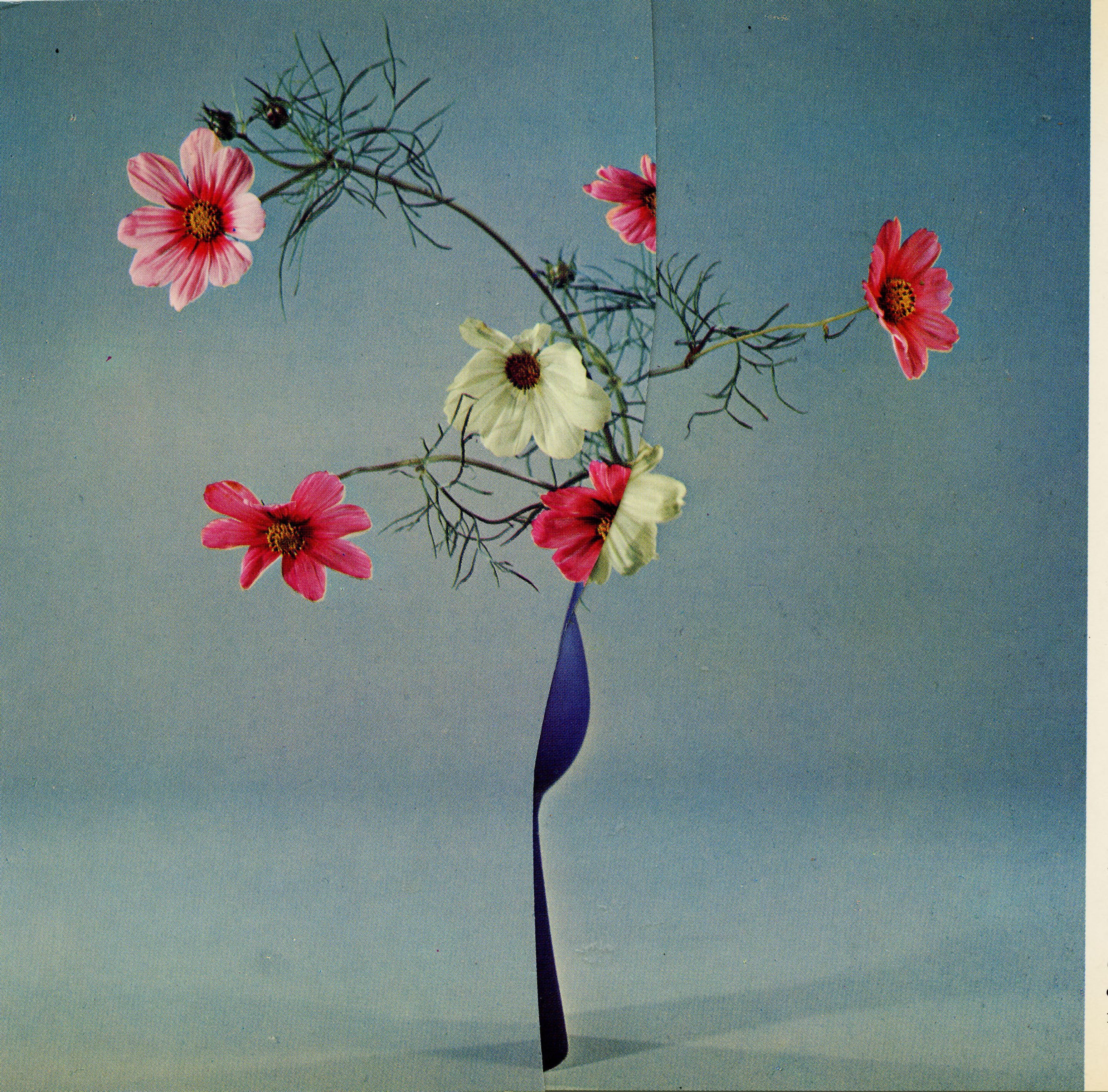 iGNANT-Art-Nicola-Kloosterman-Ikebana-011