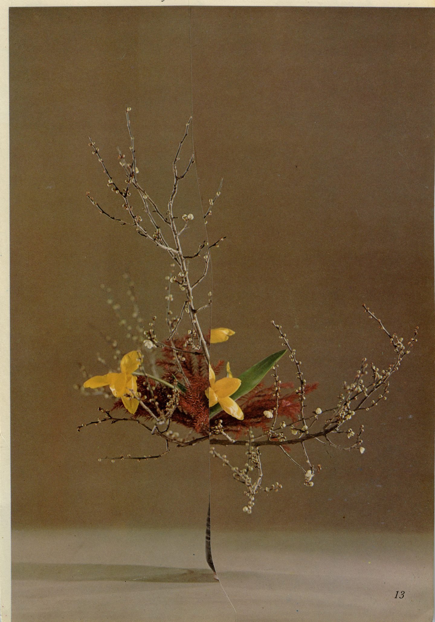 iGNANT-Art-Nicola-Kloosterman-Ikebana-012