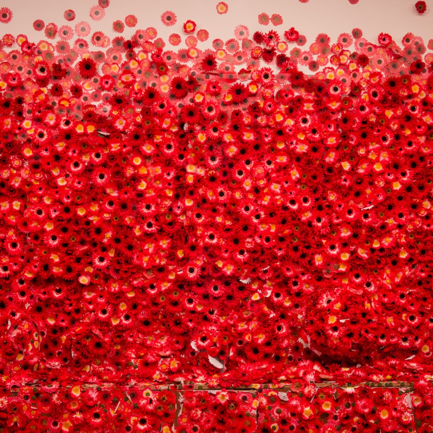 iGNANT-Art-Yayoi-Kusama-Flowers-Obsession-001