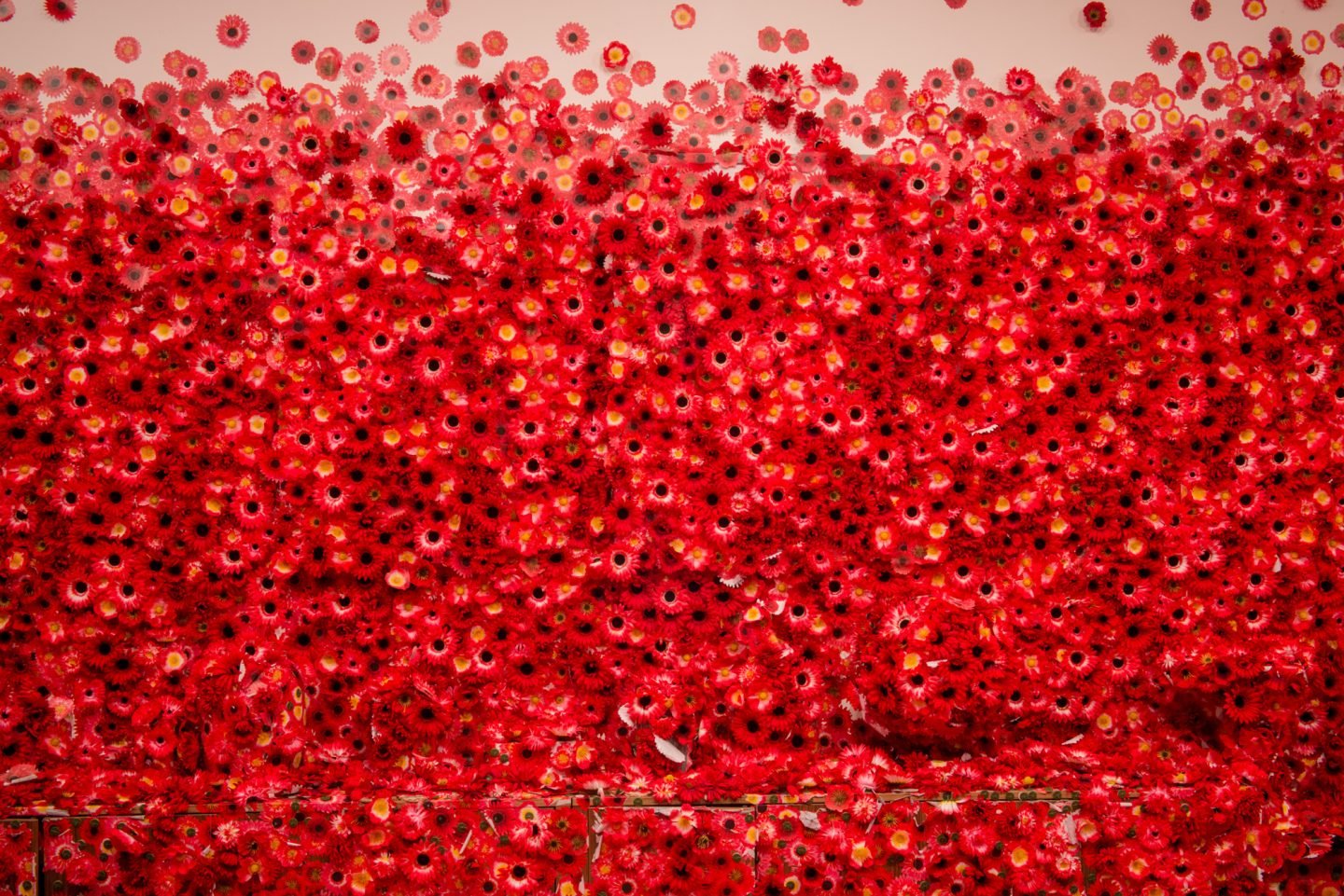 iGNANT-Art-Yayoi-Kusama-Flowers-Obsession-001