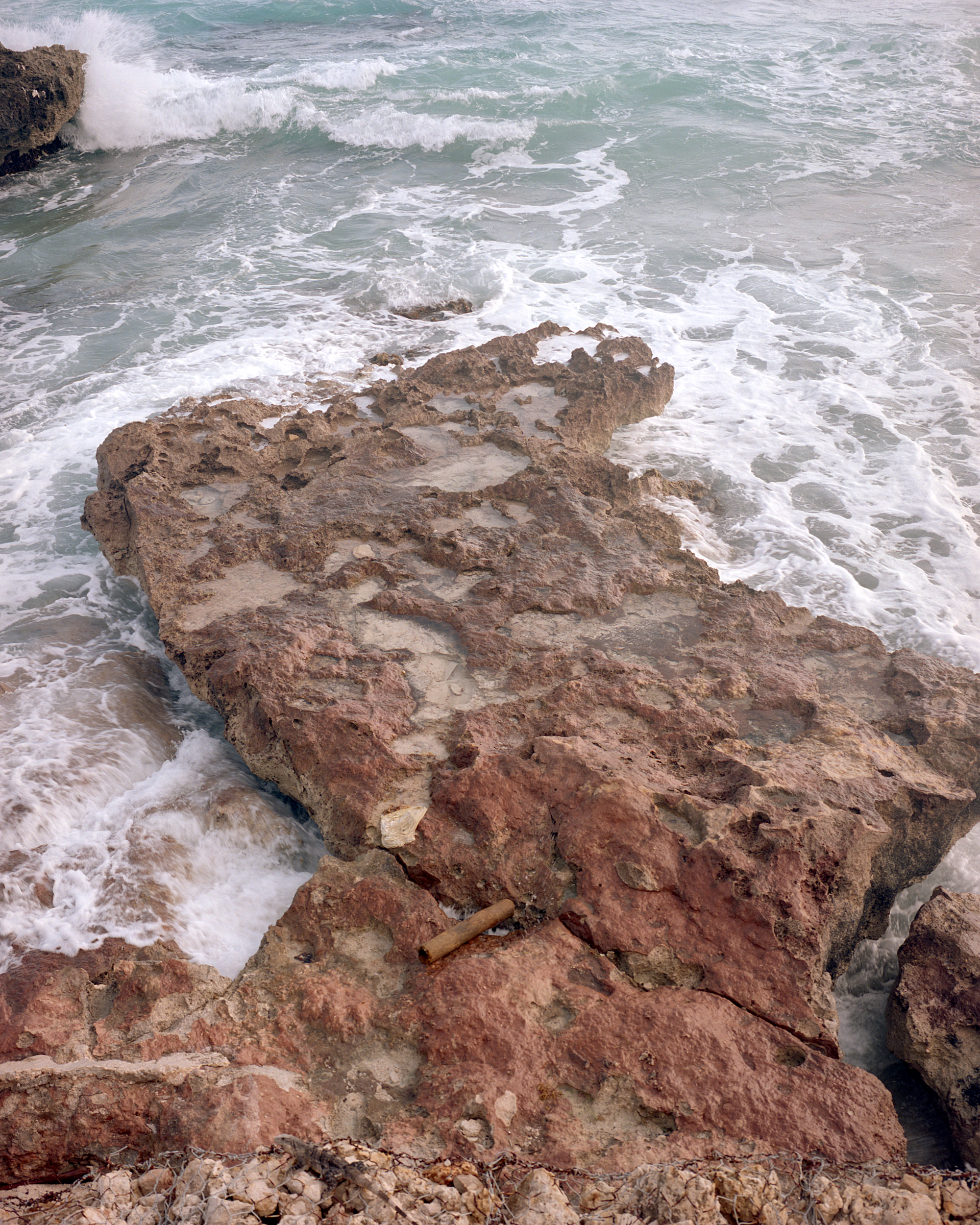 Photo PingPong Brendan Ko Vs. Nick Mehedin IGNANT