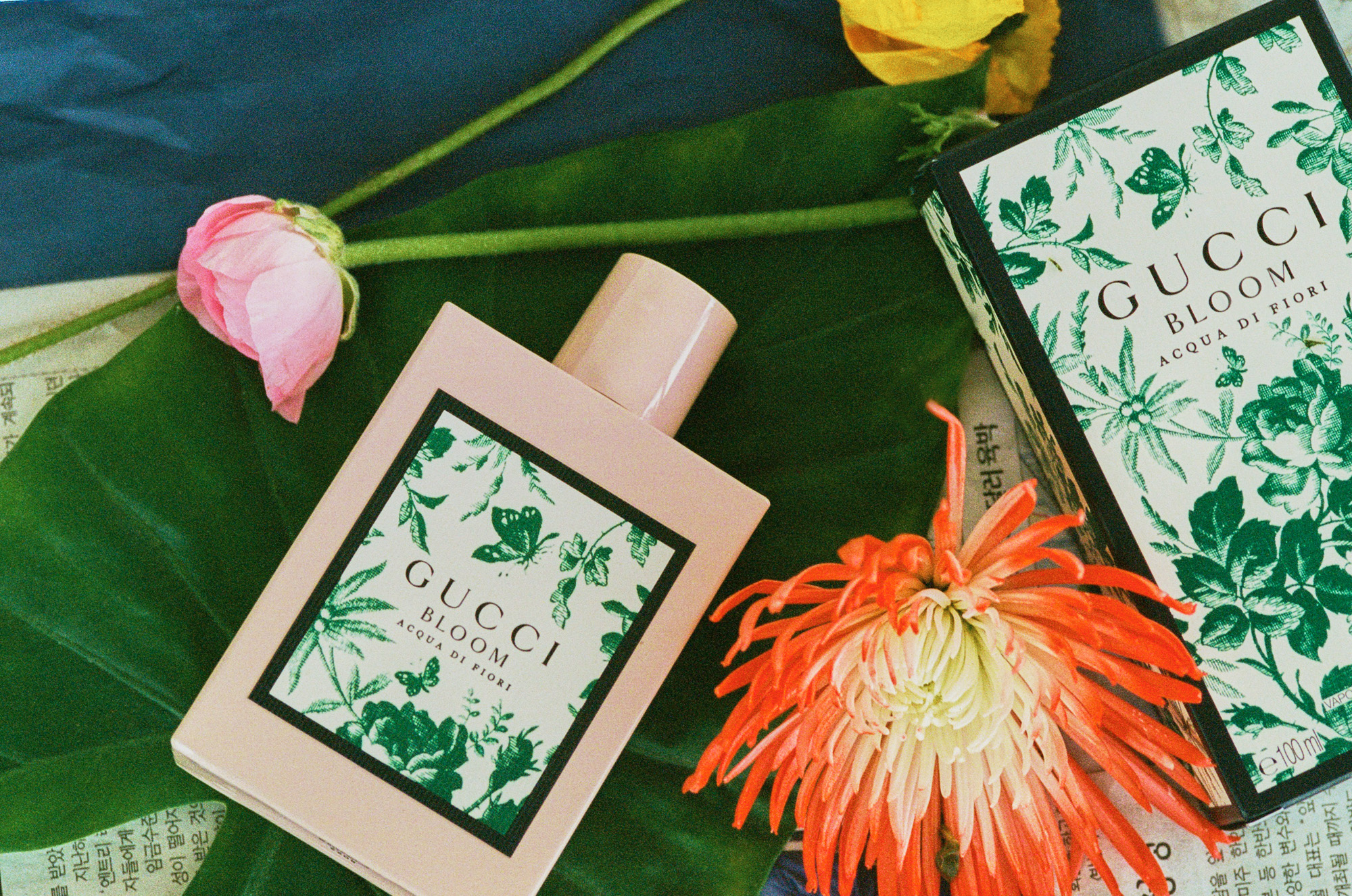 Bloom gucci acqua di fiori sale