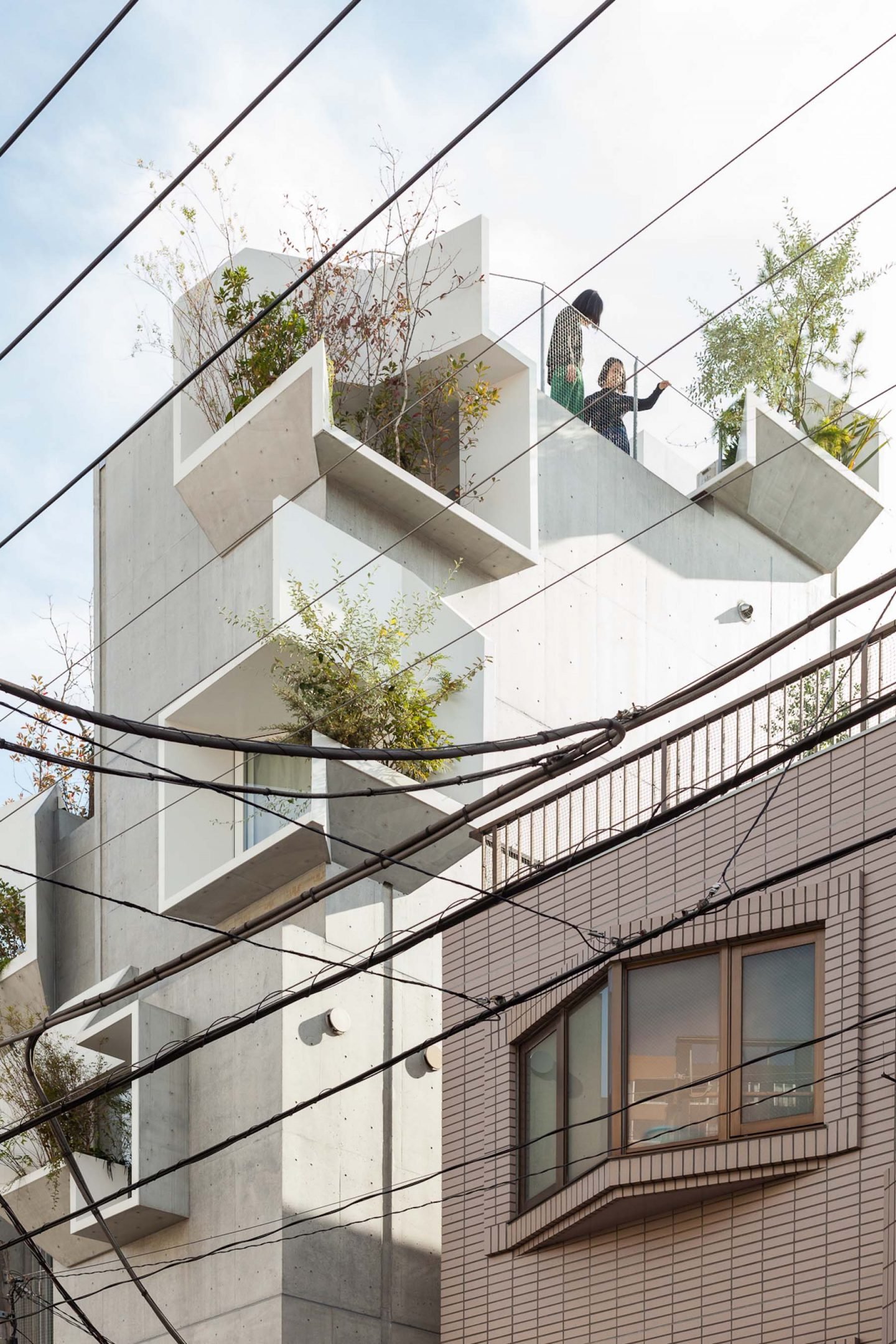 iGNANT-Architecture-Akihisa-Hirata-Tree-Ness-House-03