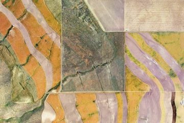 iGNANT-Art-Tai-Pinchevsky-Jefferson-Grid-03b