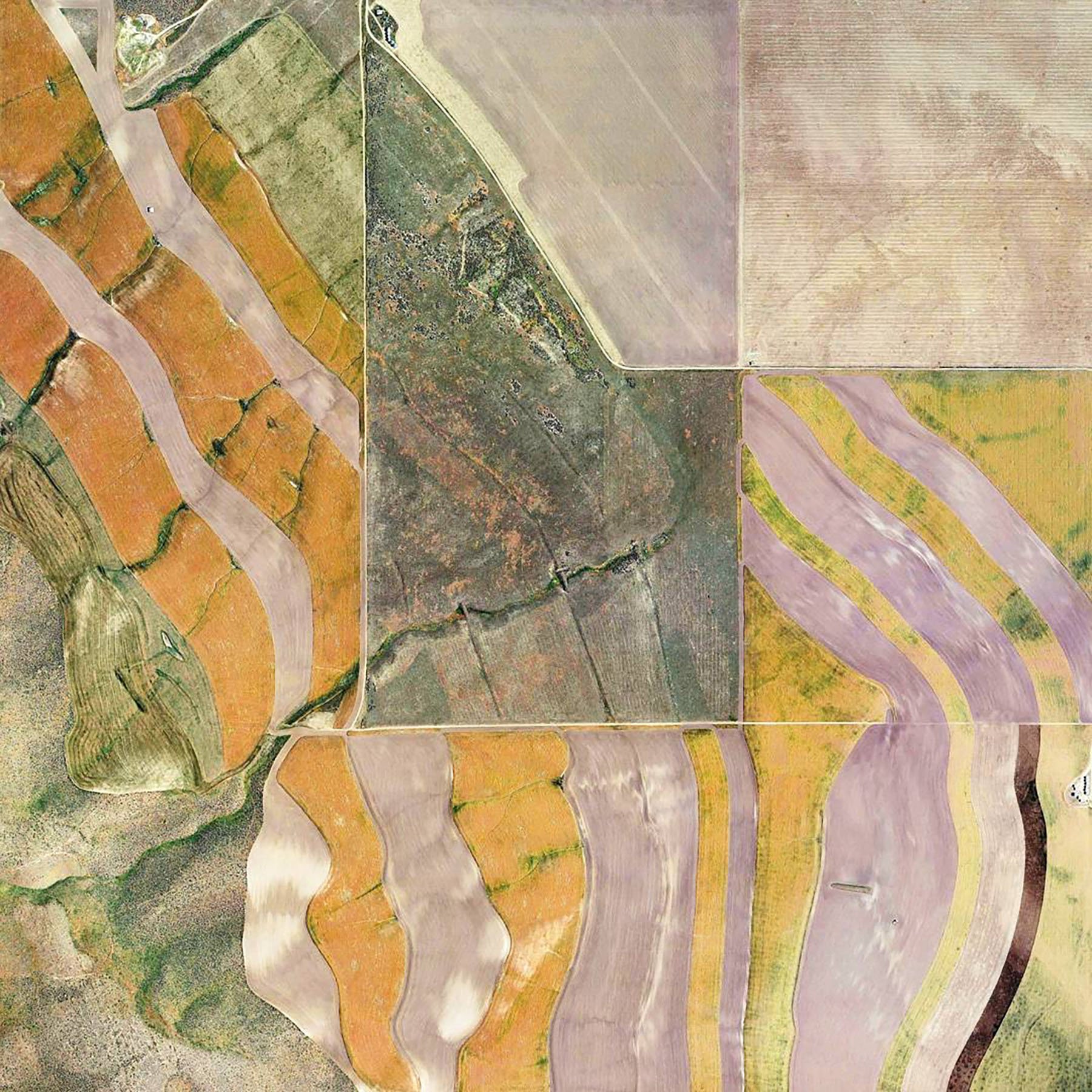 iGNANT-Art-Tai-Pinchevsky-Jefferson-Grid-03b